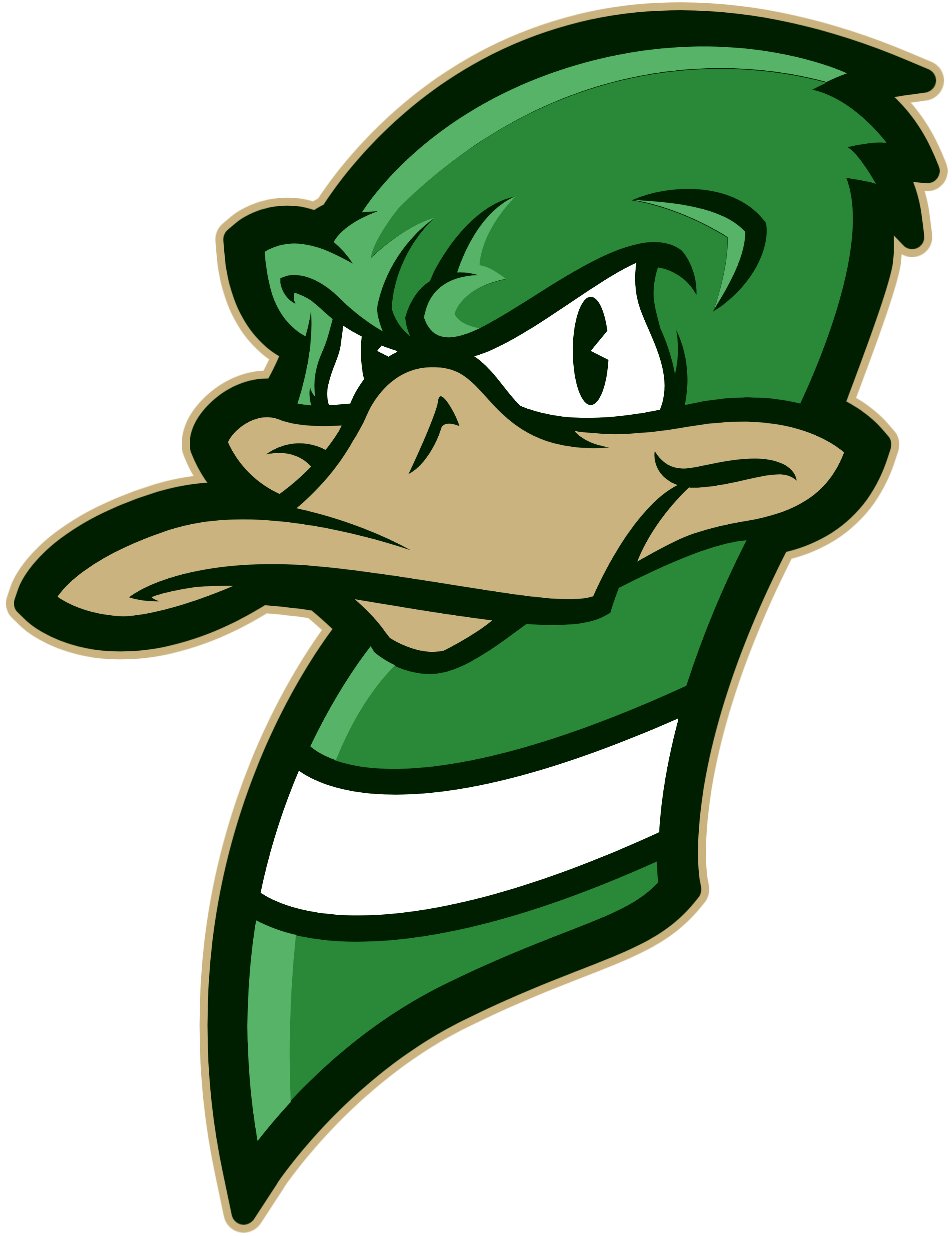Ducks logo